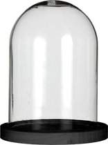 Glazen Stolp met Hout - Zwart - Glas - Ø12 x H16cm