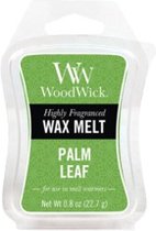 Palm Leaf Wax Melt - Scented Wax