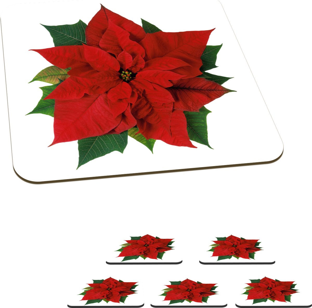 Onderzetters voor glazen - Kerstster - Kerstbloem - Kerst - 10x10 cm - Glasonderzetters - 6 stuks
