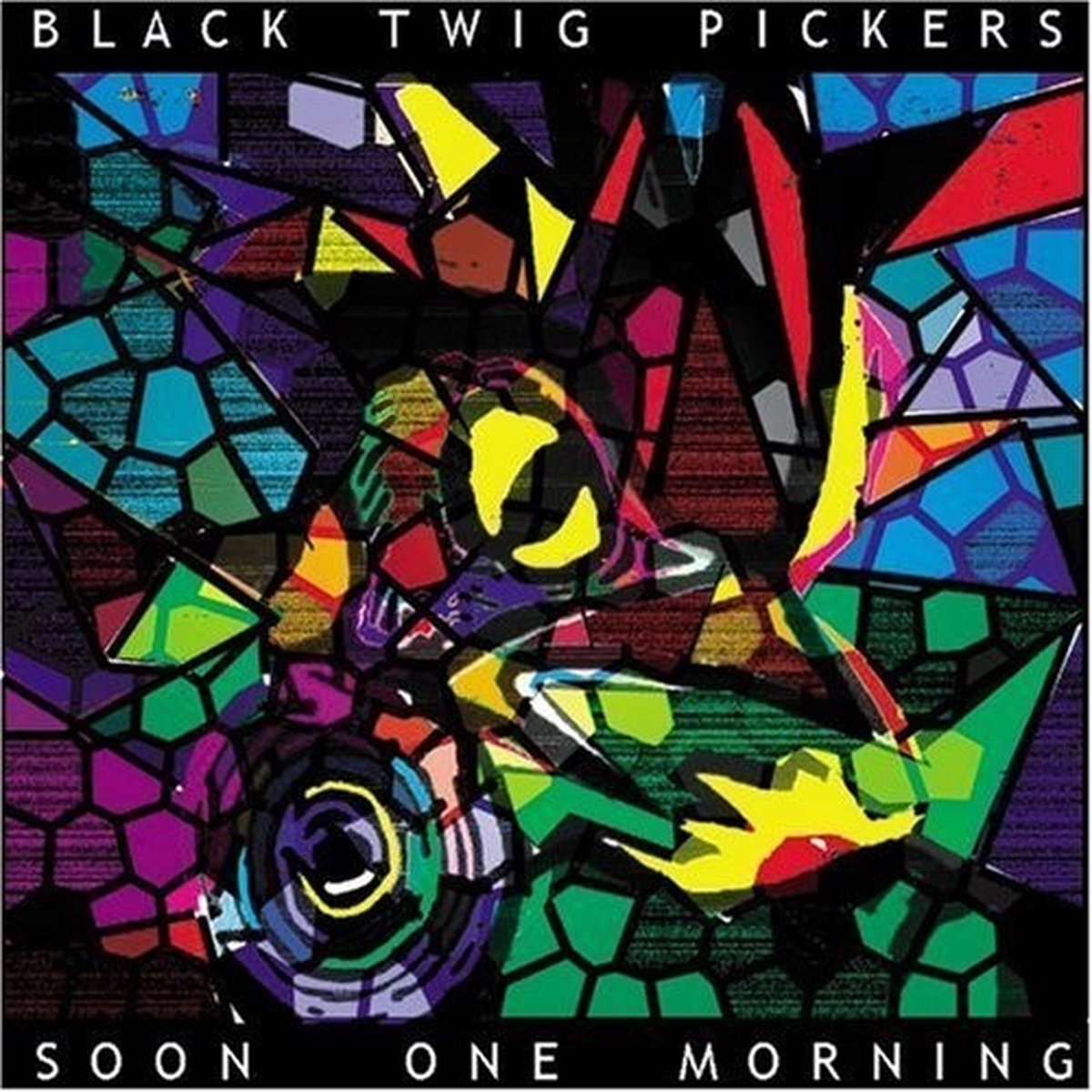 Black Twig Pickers - Soon One Morning (CD)