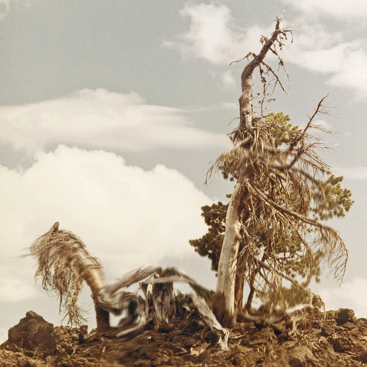 People Of The North - Steep Formations (2 LP)