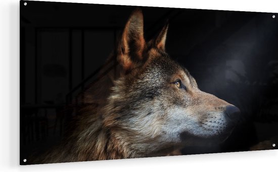 Artaza Glasschilderij - Wolvenkop Met Een Zonnestraal - Wolf - 90x45 - Plexiglas Schilderij - Foto op Glas