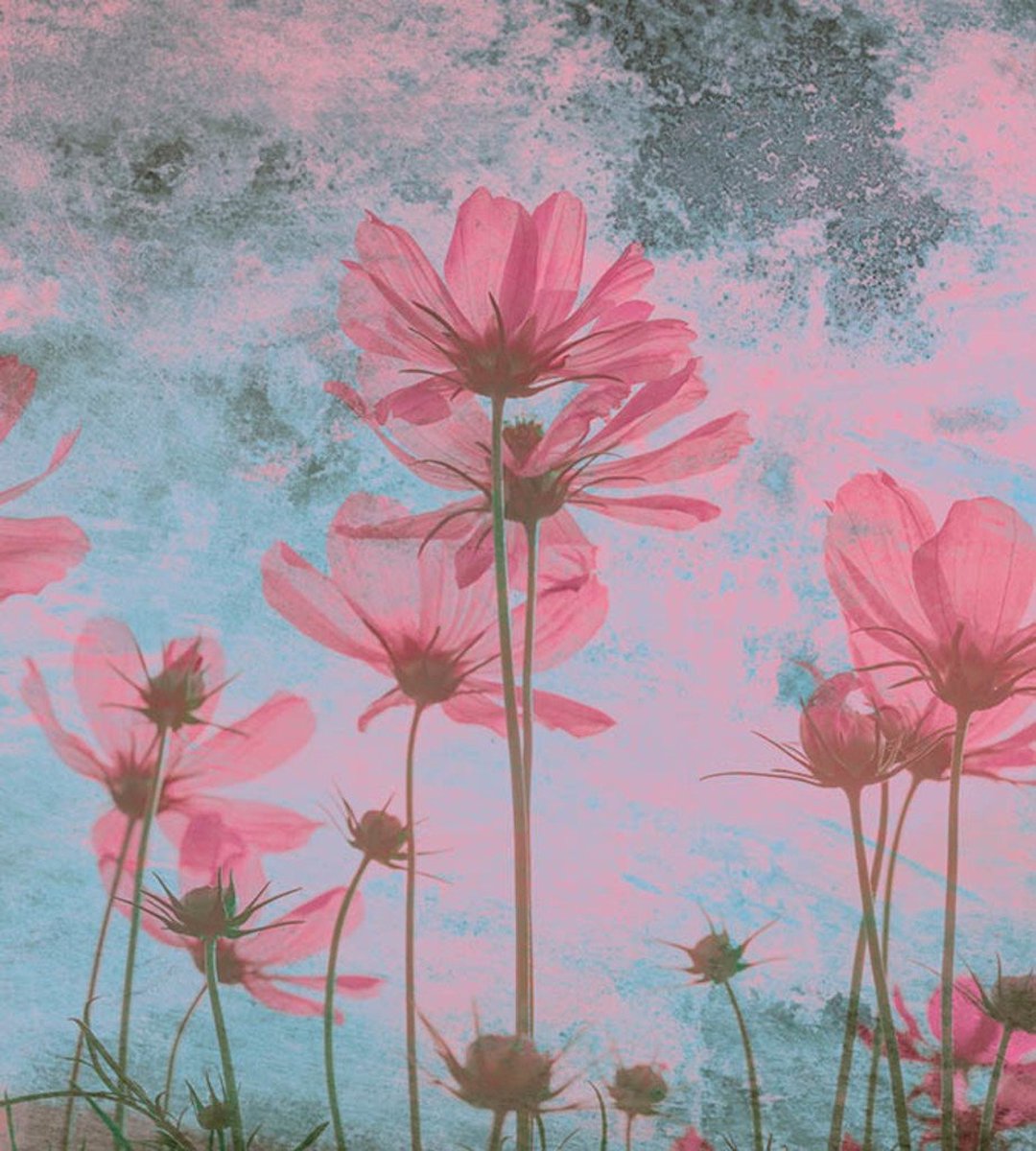 Fotobehang - Pink Flower Abstract 225x250cm - Vliesbehang