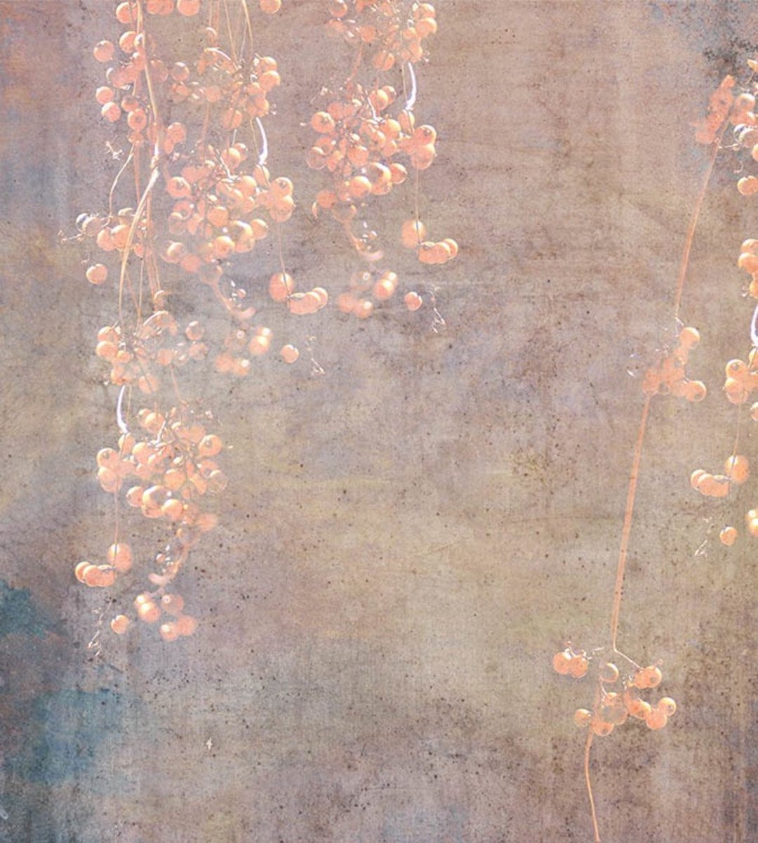 Fotobehang - Currant Abstract 225x250cm - Vliesbehang