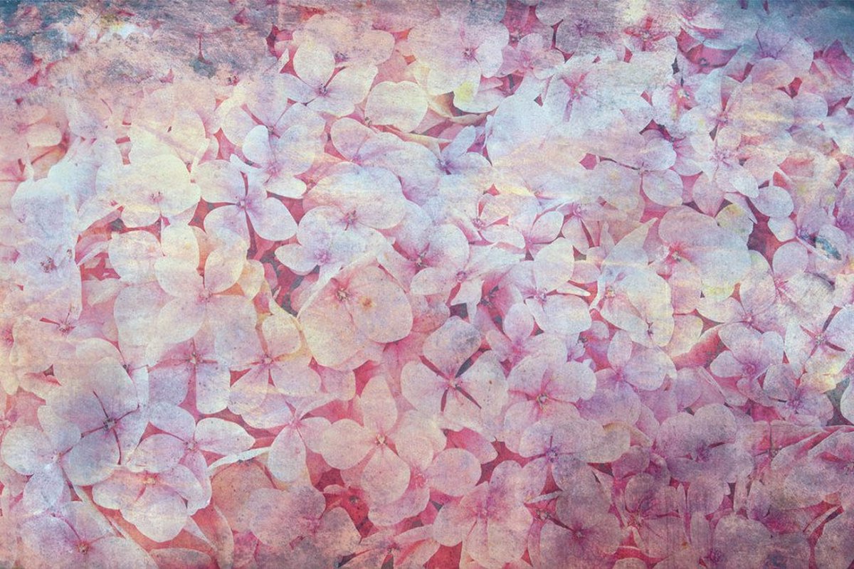 Fotobehang - Apple Tree Abstract I 375x250cm - Vliesbehang