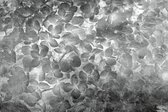 Fotobehang - Apple Tree Abstract II 375x250cm - Vliesbehang