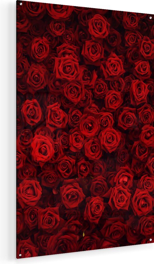 Artaza Glasschilderij - Rode Rozen Achtergrond - 90x135 - Groot - Plexiglas Schilderij - Foto op Glas