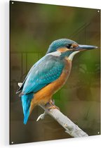 Artaza Glasschilderij - Blauwe IJsvogel Op Een Tak - 80x100 - Groot - Plexiglas Schilderij - Foto op Glas