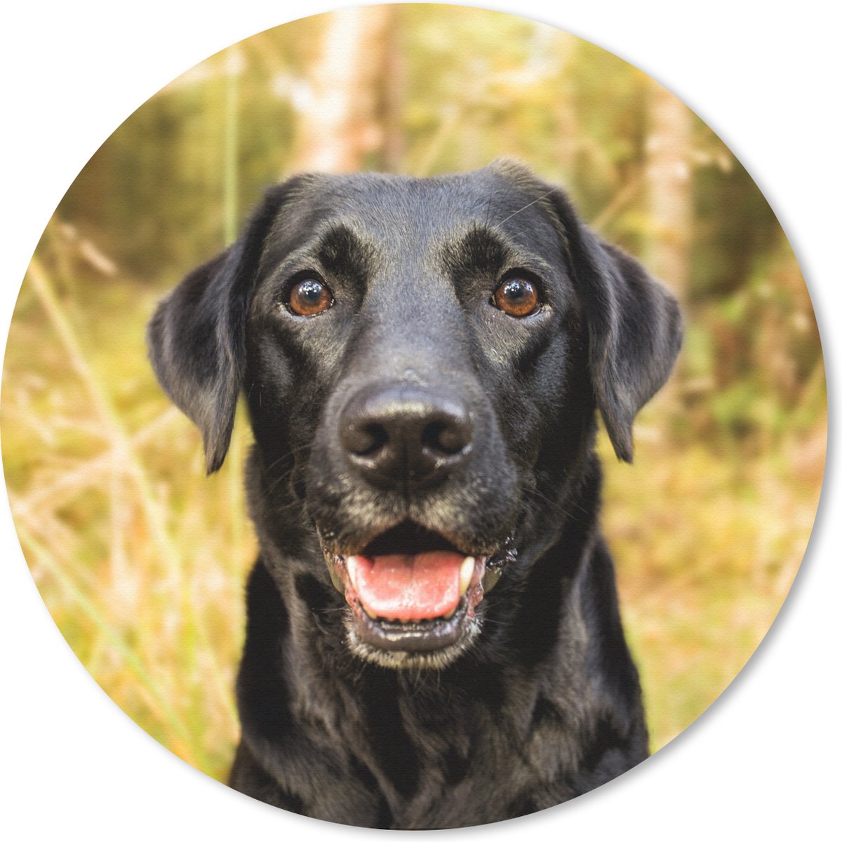 Muismat rond 20x20 cm - Mousepad Gelukkige zwarte hond - Ronde muismatten