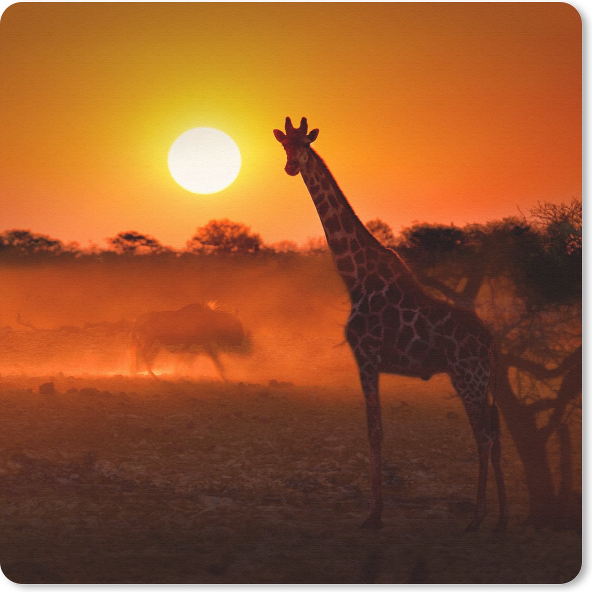 Muismat 30x30 cm - Mousepad Giraffe - Zon - Savanne - Muismatten