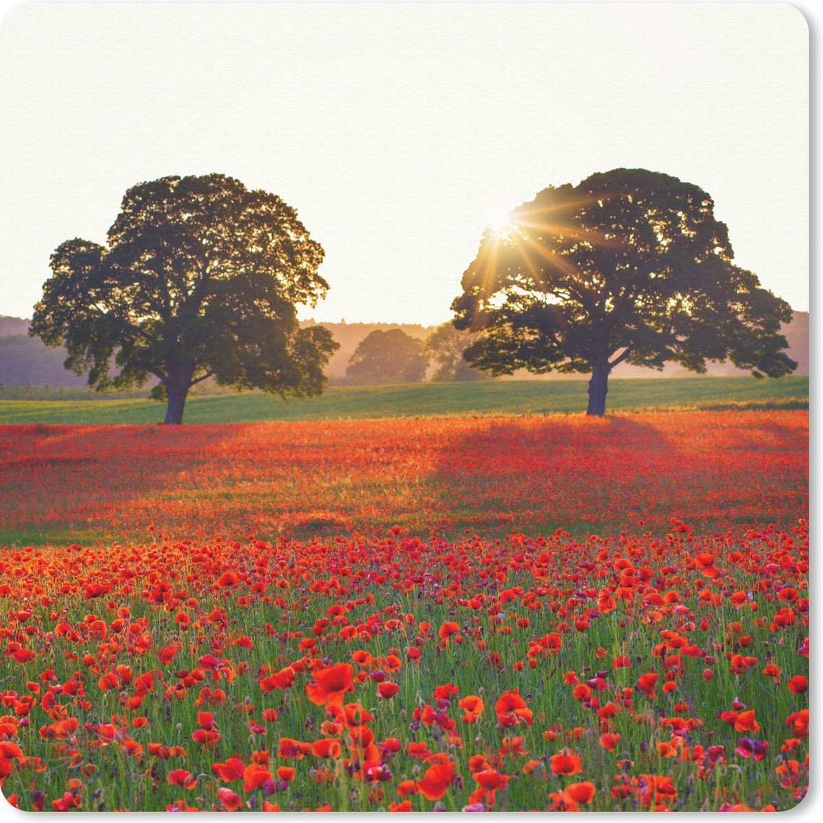 Muismat 30x30 cm - Mousepad Klaprozen - Bloemenveld - Zon - Muismatten