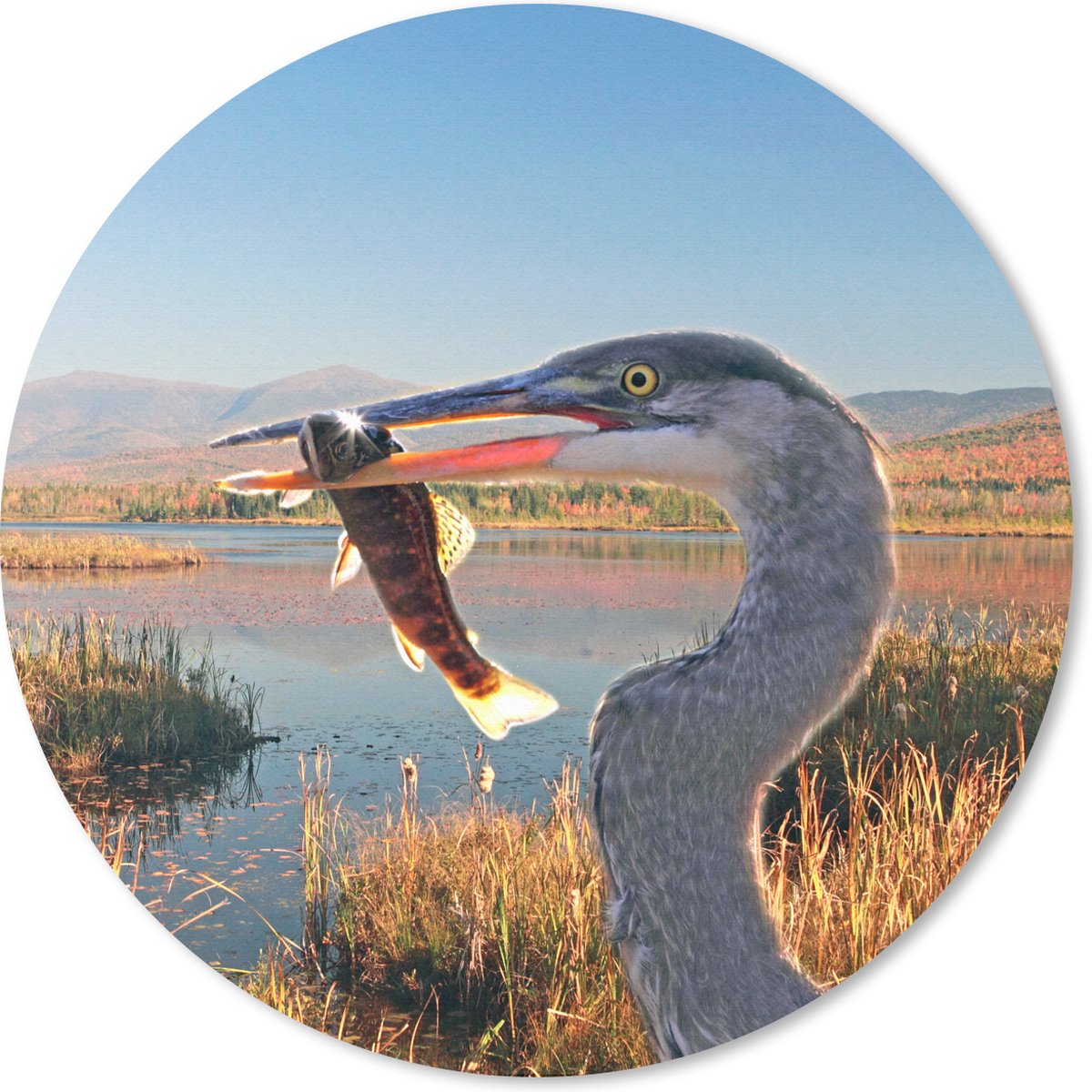 Muismat rond 30x30 cm - Mousepad Vogel - Vis - Water - Herfst - Ronde muismatten