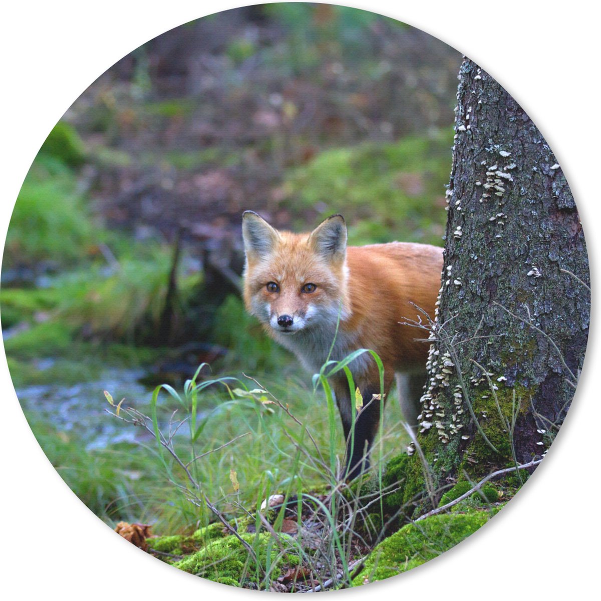 Muismat rond 30x30 cm - Mousepad Vos - Boom - Bosdier - Herfst - Ronde muismatten