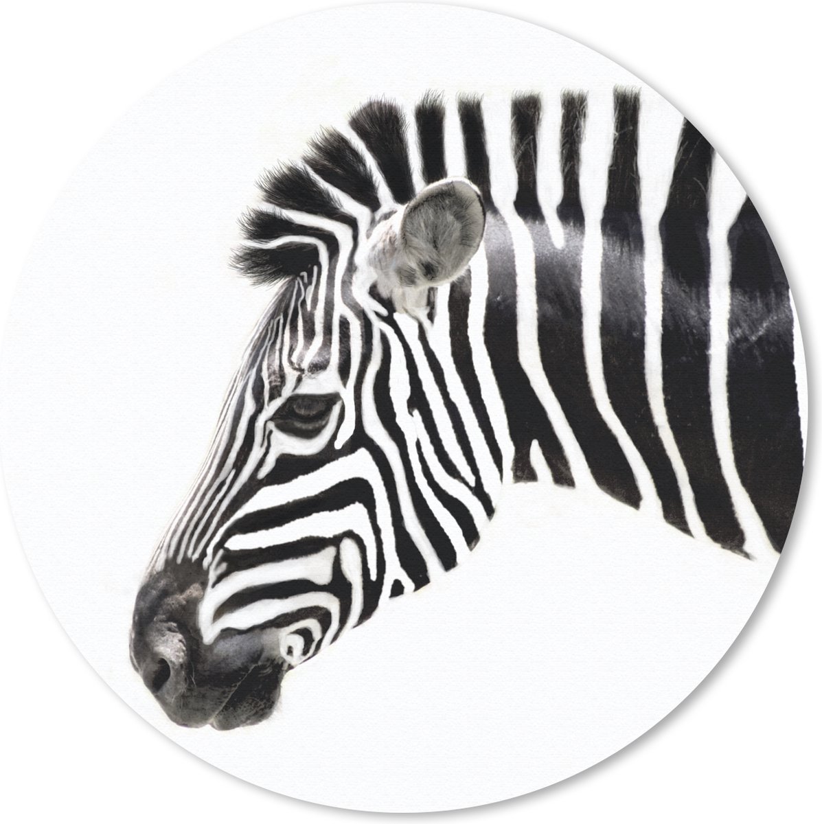 Muismat rond 30x30 cm - Mousepad Zebra - Dieren - Wit - Ronde muismatten