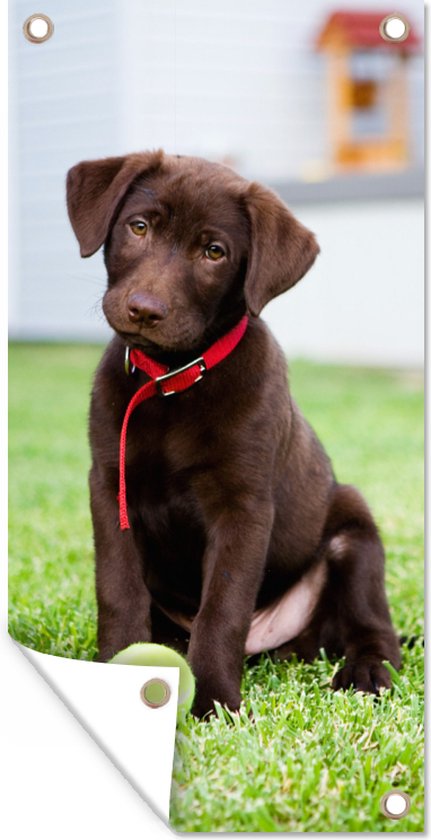 Tuinposter Labrador Retriever puppy met een tennisbal - 30x60 cm - Tuindoek - Buitenposter