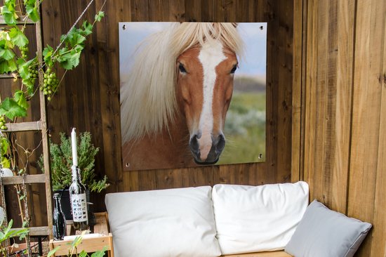 Toile de jardin un cheval islandais - 100x100 cm