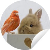 Animaux du Cercle de Jardin - Lapin - Vogel - 60x60 cm - Affiche de Jardin Ronde - Extérieur