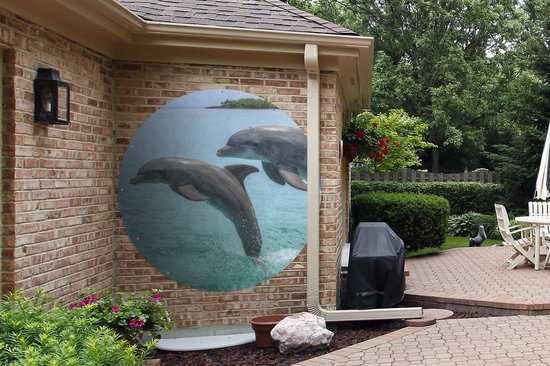 Garden Circle Dauphins pour les îles de la Baie - 150x150 cm - Poster de jardin rond - Extérieur