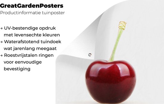 Affiche de jardin Cerisier solitaire avec une tige verte 50x50 cm - petit - Toile de jardin / Toile d'extérieur / Peintures pour l'extérieur (décoration de jardin)