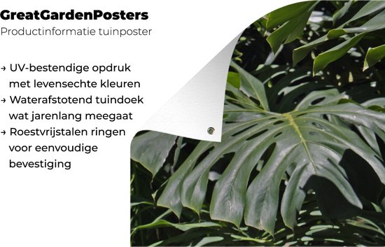 Affiche de jardin Feuilles de monstera vertes - 40x80 cm - Décoration murale Extérieur - Affiche de jardin - Toile de jardin - Affiche de clôture - Peinture de jardin