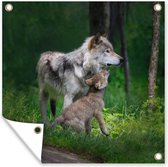Posters de jardin Loup - Bébé - Forêt - 50x50 cm
