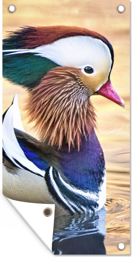 Tuinposter Eend - Water - Dier - 40x80 cm - Wanddecoratie Buiten - Tuinposter - Tuindoek - Schuttingposter - Tuinschilderij