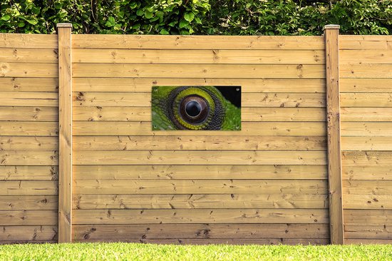 Poster jardin Yeux - Reptile - Vert - 80x40 cm - Décoration murale extérieur - Poster jardin - Toile jardin - Poster clôture - Tableau jardin