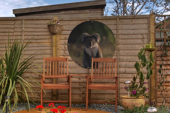 Garden Circle Koala - Soleil - Animal - Enfants - Garçons - Filles - 60x60 cm - Affiche Ronde de Jardin - Extérieur