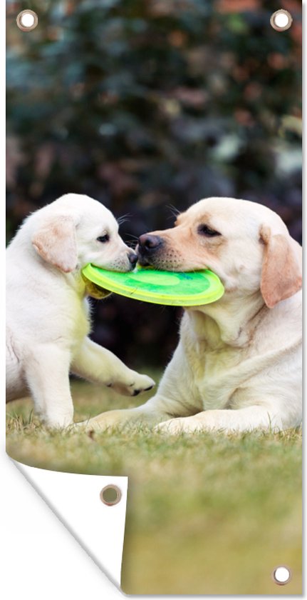 Tuinposter Hond met zijn pup en een frisbee - 30x60 cm - Tuindoek - Buitenposter