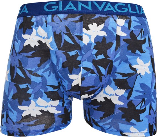 Gianvaglia Lot de 5 boxers pour hommes - imprimé feuilles - couleurs mélangées - XXL
