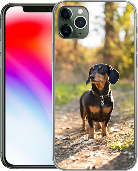 Coque iPhone 11 Pro Max - Un teckel dans la forêt - Coque en Siliconen pour téléphone