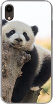 Geschikt voor iPhone XR hoesje - Panda - Boom - Licht - Siliconen Telefoonhoesje