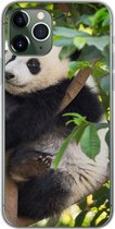 Geschikt voor iPhone 11 Pro hoesje - Panda - Dier - Boom - Siliconen Telefoonhoesje