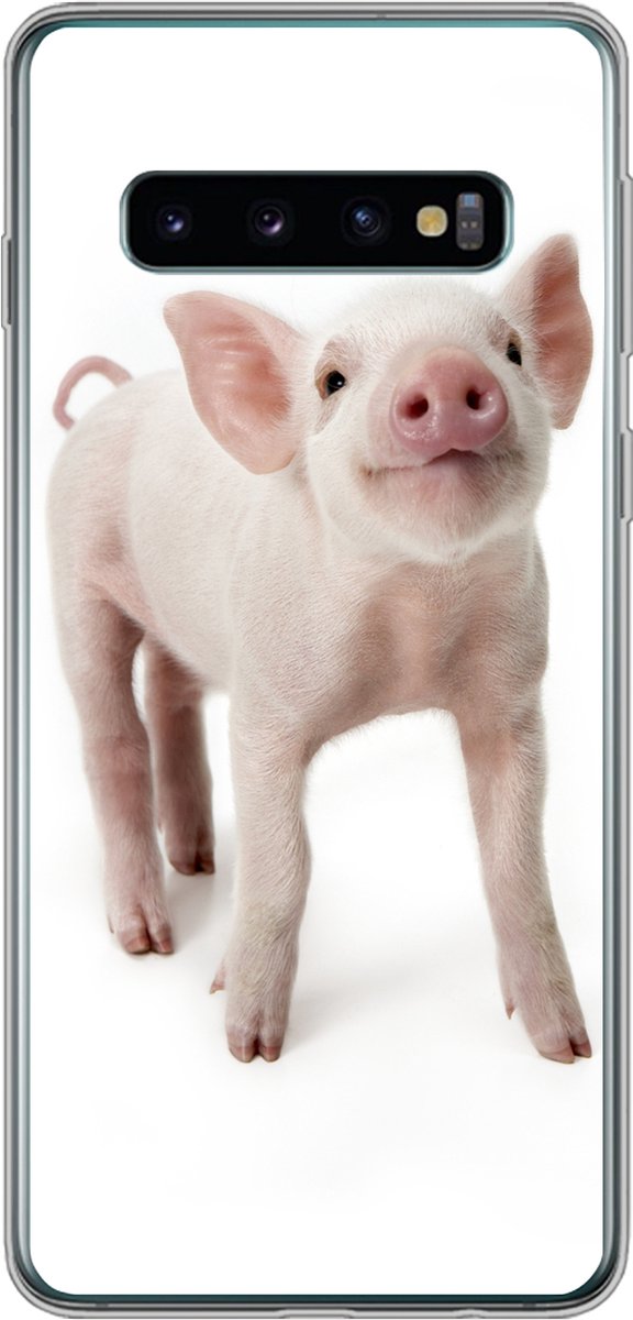 Telefoonhoesje Geschikt voor Samsung Galaxy S10 hoesje - Varken - Dieren - Wit - Siliconen Telefoonhoesje Telefoonhoesje
