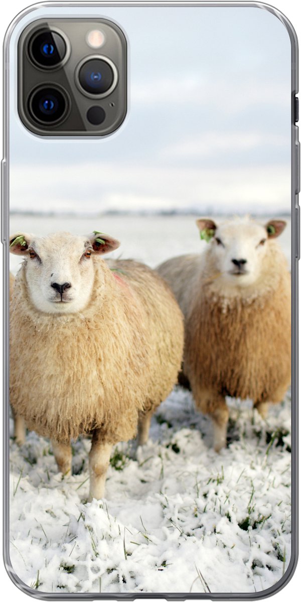 Geschikt voor iPhone 13 Pro Max hoesje - Groep nieuwsgierige schapen - Siliconen Telefoonhoesje