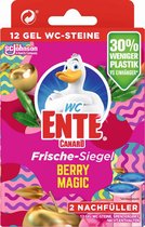 WC-Eend | WC-Ente | WC-Canard | Toilet Duck Fresh Disc Berry Magic | Navulverpakking | 2 Navullingen met 12 Gel blokjes | Voordeelverpakking