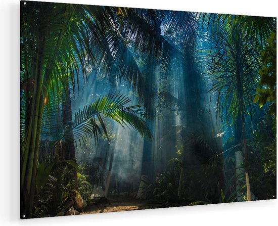 Artaza Glasschilderij - Dichtbegroeide Jungle Met Zonnestralen  - Plexiglas Schilderij - Foto op Glas