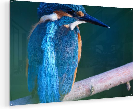 Artaza Glasschilderij - Blauwe IJsvogel Op Een Tak - 135x90 - Groot - Plexiglas Schilderij - Foto op Glas