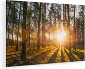 Artaza Glasschilderij - Zonsopkomst In Het Bos Tussen De Bomen - 105x70 - Plexiglas Schilderij - Foto op Glas