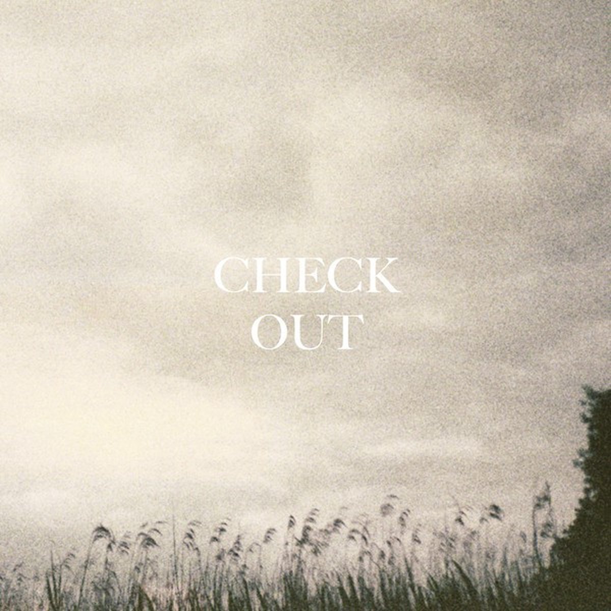 Alessandro Incorvaia & Giordano Simoncini - Check Out (10" LP) (Limited Edition)