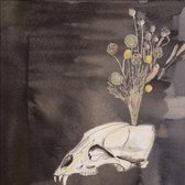 Steve Gunn & Black Twig Pickers - Seasonal Hire (LP)
