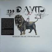 Bro David - Modern Music From Belize (LP)