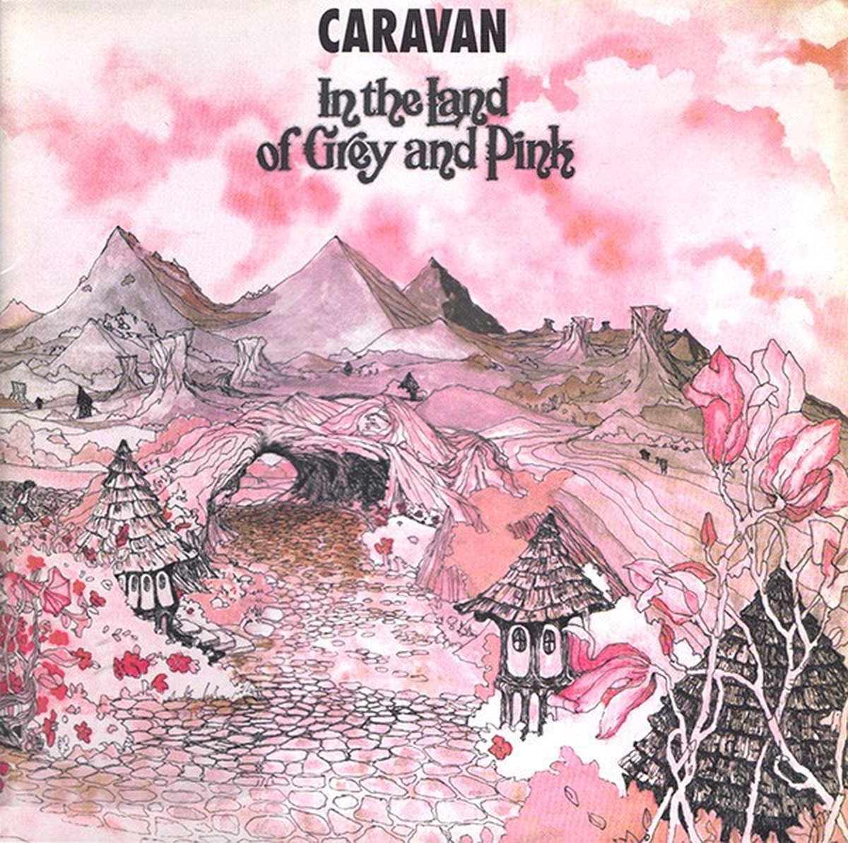 Caravan - In The Land Of Grey And Pink (2 LP) (Coloured Vinyl)