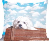 Sierkussen - Maltezer Hond In Een Houten Doos - Multicolor - 40 Cm X 40 Cm