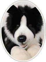 Pluche Border Collie hond knuffel 60 cm