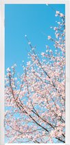 Deursticker Kersenboom - Japan - Bloesem - 80x215 cm - Deurposter