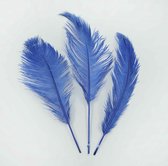 Struisvogelveer 30 cm blauw (4+1 GRATIS)