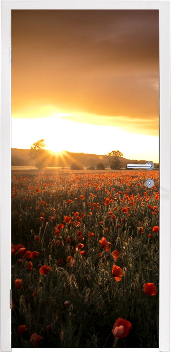 Afbeelding van product StickerSnake  Deursticker Zonsondergang over de Klaprozen in Engeland - 85x205 cm - Deurposter