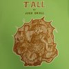 Josh Small - Tall (2 LP)