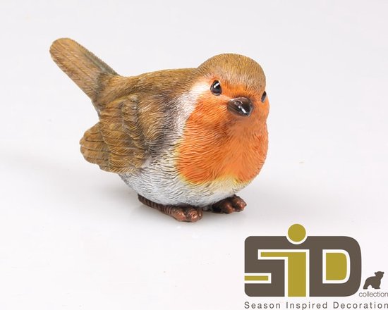 Beeld van een mooi roodborstje